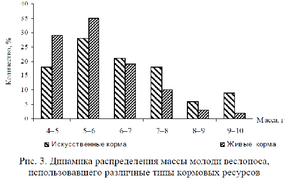 Динамика распределения массы молоди веслоноса, использовавшего различные типы кормовых ресурсов