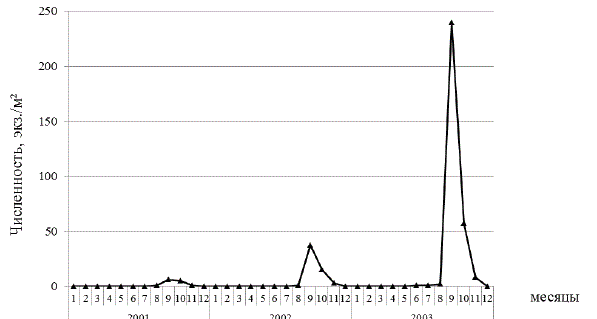 Рис. 5. Динамика численности гидромедузы в прибрежных водах Севастополя в период 2001–2003 гг. 
