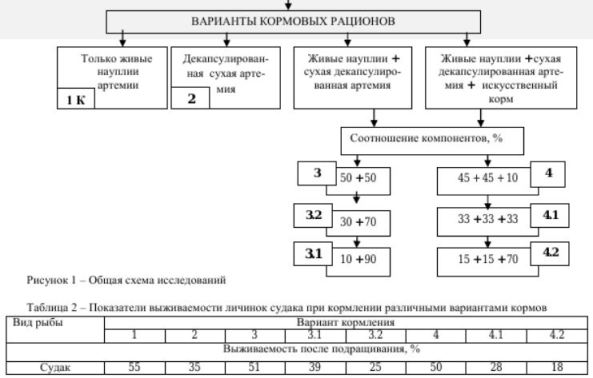Рисунок 1 - Общая схема исследований Таблица 2 - Показатели выживаемости личинок судака при кормлении различными вариантами кормов