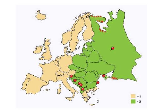 Западный (1) и Восточный (2) регионы Европы. 