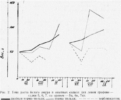 Рис. 2. Темп роста белого амура в опытных садках (на левом графике -
