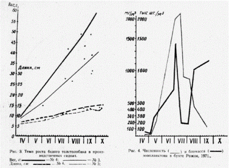Численность ( ) и биомасса (зоопланктона в бухте Рожок, 1971.,