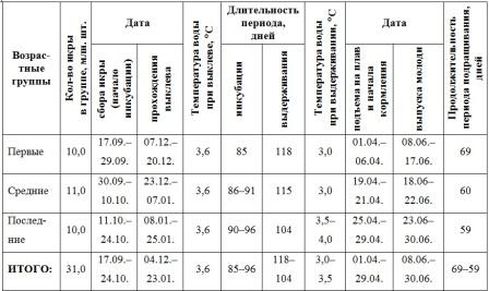 Развитие кеты на ЛРК «Найба» (Березняковский цех) в рыбоводном цикле 2012–2013 гг. (модель)