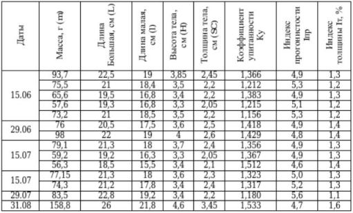 Таблица 3. Морфометрические показатели двухлетков судака, исследованных при контрольных обловах