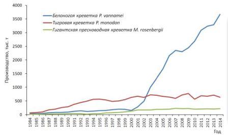 Динамика объёмов основных выращиваемых видов креветок