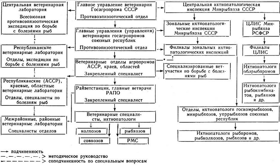 Схема организационной структуры ветеринарного обслуживания рыбохозяйственных водоемов