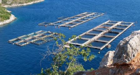 Aquaculture in Croatia